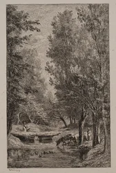 Brook in Val Mondois, n. 1862.