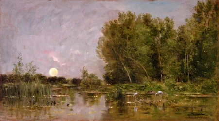 Kuun nousu, 1877