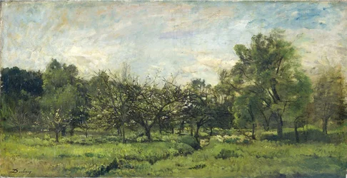 Hedelmätarha