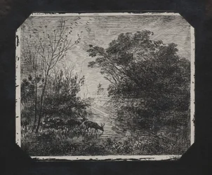 Peura