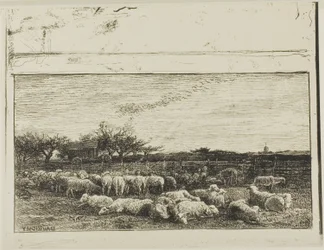 Suuri lammastarha