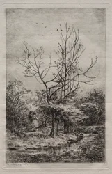 Orchard