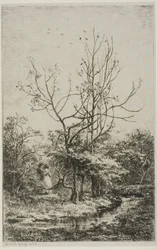 Orchard