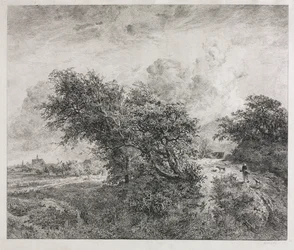 The Thicket, 1855.