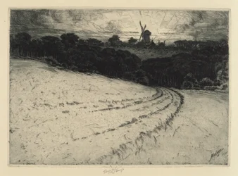Morning, Canonicut Island, 1908. finlandès