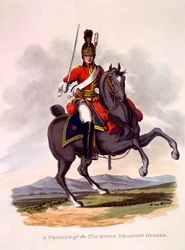 1. eli kuninkaan lohikuunivartijoiden sotamiesten univormu, kaiverrus Joseph Constantine Stadler (fl.1780-1812), 1812-15 (käsinvärinen akvatinta)