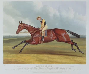 "Blue Bonnet", suuren St. Leger -panoksen voittaja Doncasterissa, 1842, kaivertanut John Harris (n. 1791-1873), pub. kirjoittanut Rudolph Ackermann, 1842 (akvatinta)