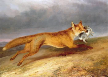 Fox lähdössä kanin kanssa