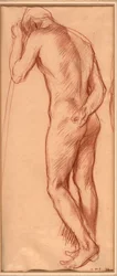Mies alaston