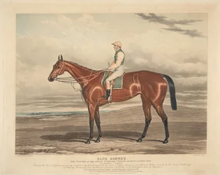 Laukkakilpailu: Blue Bonnet. Doncasterin suuren St. Leger Stakes -kilpailun voittaja 1842