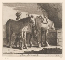 Juovat hevoset Masete de Normandie (otsikko esineessä) Eläinsarja (sarjan nimi)
