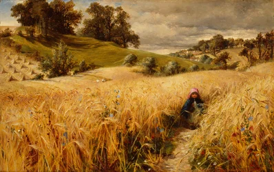 Coming Thro The Rye (öljy kortille)