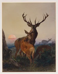 Hirvihirvi metsäisessä maisemassa auringonlaskun aikaan, 1865