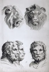Leijonan ja miehen pään yhtäläisyyksiä, Le Brunin teoksesta "Livre de portraiture pour ceux qui commencent à dessiner"
