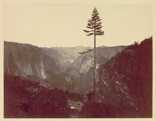 Yosemiten laakso Mariposa Trailista, n. 1865.
