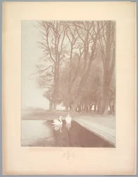 Maisemasarja: Maisema, lautanen 6, muistiinpano, liljat, 1892-1893.