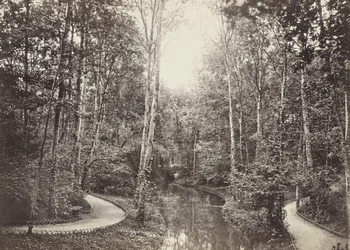 Deer Pond (Doe