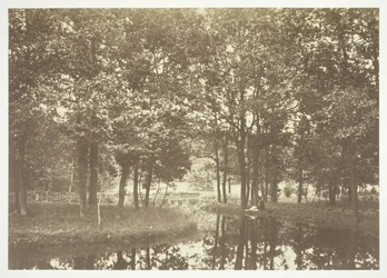 Nimetön, c. 1850. [Puita lähellä vettä Bois de Boulognessa, puistossa Pariisissa].