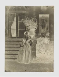 Naisen muotokuva, mahdollisesti Mme Ernest Feydeau
