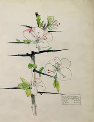 Oratuomi, Chiddingstone, Kent, 1910