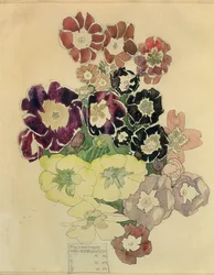 Kevätesikko, Walberswick, 1915