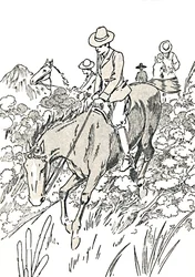 Suurin osa näistä eläimistä metsästetään, 1912