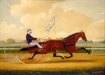 Budd Doble Driving Goldsmith Maid Belmont Driving Parkissa, 1876.