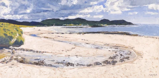 Rantavirta, Sanna, 2017 (öljy kankaalle)