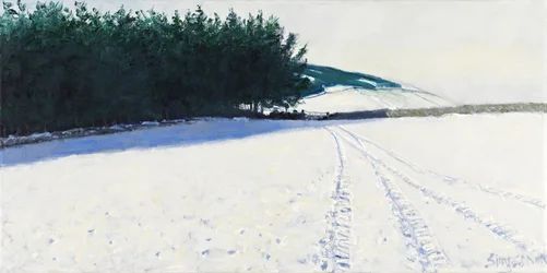 Tummat puut ja lumi, 2011 (öljy kankaalle)