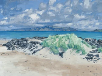 Rocks  Grasses, Iona, 2013 (öljy kankaalle)