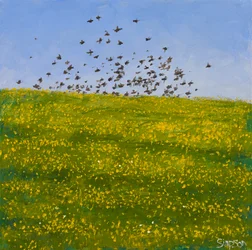Starlings  Buttercups, Iona, 2015 (öljyä kankaalle)