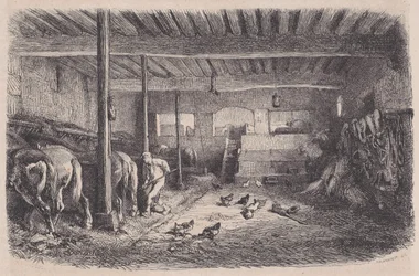 Talli, Magasin Pittoresquesta, n. 1852.