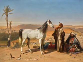 Arabialainen aavikolla
