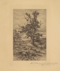 Maisema lampaiden kanssa