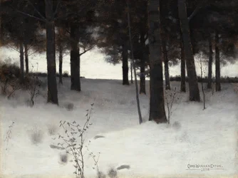 Metsää talvella