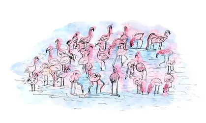 Flamingos 2, 2018 (muste ja akvarelli)