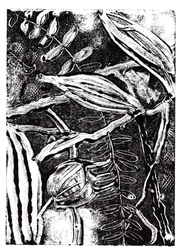 Inky Plants, 2019 (monoprintti)