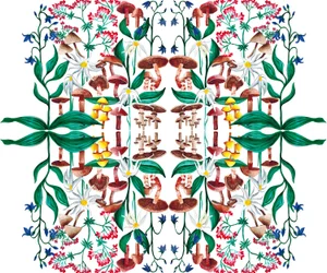Wild Plants, 2015 akryyli