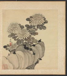 Maalauksia muinaisten mestareiden mukaan: Chrysanthemum and Rock