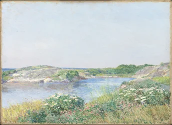 Pikku lampi, Appledore