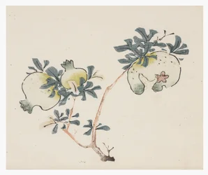 Ten Bamboo -sarja, 1700-luku