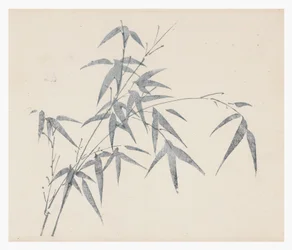 Ten Bamboo -sarja, 1700-luku