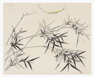 Ten Bamboo -sarja, 1700-luku