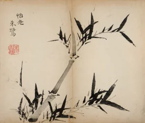 Kymmenen bambun studion vedokset, 1643