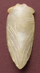 Kieliamuletti cicadan muodossa