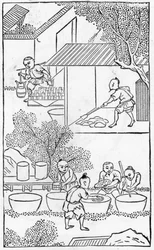 Saven pesu sarjasta kiinan valmistusta kuvaavista kuvista (katso 384116 & 384117 koko sarjasta)