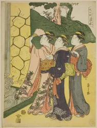 Shimizu, sarjasta "Seven Komachi (7 Komachi)"