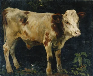 Härkävasikka, 1876