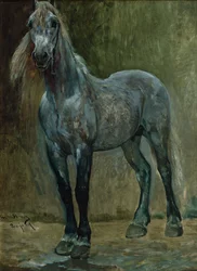 Ongelmia