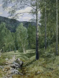 Kevät metsässä (akvarelli paperille)
